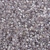 MIYUKI Delica Beads X-SEED-J020-DB1771-3