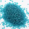 6/0 Glass Seed Beads X-SEED-J013-F6-19-2
