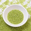 MIYUKI Delica Beads SEED-X0054-DB0147-3
