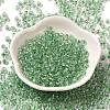 6/0 Transparent Inside Colours Glass Seed Beads SEED-P006-01A-03-2