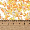 Baking Paint Glass Seed Beads SEED-P006-03A-22-4