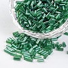 Tube Transparent Colours Pearl Luster Plated Round Hole Glass Bugle Beads SEED-I001-107B-1