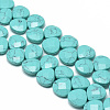 Synthetic Turquoise Beads Strands G-T066-10-1