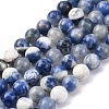 Natural Sodalite Beads Strand GSR6mmC013-4