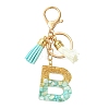Transparent Epoxy Resin Pendant Keychains KEYC-FS00022-02-1