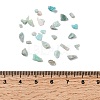 Natural Amazonite Chip Beads X-G-O103-08-2