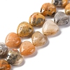 Natural Crazy Agate Beads Strands G-I372-A08-01-2