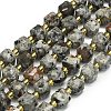 Natural Syenite Beads Strand G-I376-D17-01-1