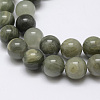 Natural Green Rutilated Quartz Beads Strands X-G-P325-03-8mm-1