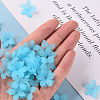 Frosted Acrylic Bead Caps MACR-S371-05A-755-5