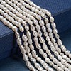 Grade A Natural Cultured Freshwater Pearl Beads Strands X-A23WS011-3
