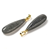 Natural Labradorite Pendants G-Q192-07G-06-2
