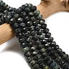 Natural Kambaba Jasper Beads Strands G-Z111-A14-02-1
