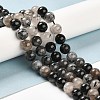 Natural Black Rutilated Quartz Beads Strands G-R446-8mm-37-01-4