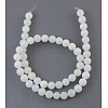 Natural White Shell Beads Strands X-SHEL-S200-1-3