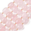 Natural Prehnite Beads Strands G-G453-D16-01-2