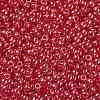 TOHO 8/0 Round Beads X-SEED-TR08-0109C-2