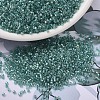 MIYUKI Delica Beads SEED-MY11-DB1767-1