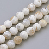 Natural Weathered Agate Beads Strands X-G-S249-09-8mm-1