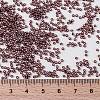 MIYUKI Round Rocailles Beads X-SEED-G009-RR0013-4