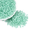 FGB Glass Seed Beads SEED-Q040-08A-10-1