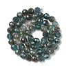 Natural Apatite Beads Strands G-G189-D02-07-3