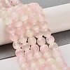 Natural Selenite Dyed Beads Strands G-P493-02J-2
