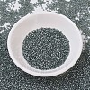 MIYUKI Delica Beads X-SEED-J020-DB0697-2