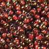 Glass Seed Beads X1-SEED-H002-B-D205-3