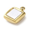304 Stainless Steel Acrylic Pendants LS-STAS-M091-02D-G-2