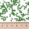 MIYUKI Round Rocailles Beads X-SEED-G008-RR0411-4