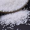 MIYUKI Delica Beads SEED-X0054-DB0220-1