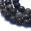 Natural Iolite Beads Strands G-E561-16-6mm-3