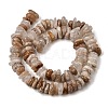 Natural Thousand Layer Phantom Quartz Layered Lodolite Quartz Thousand Layer Garden Quartz Beads Strands GG-CBAC13F-C04-01-3