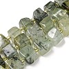 Natural Prehnite Beads Strands G-G053-B12-01C-1