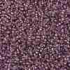 MIYUKI Round Rocailles Beads SEED-JP0010-RR3748-3