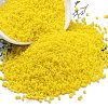 Frosted Colours Glass Seed Beads SEED-H003-06B-1