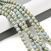 Natural Rainbow Alashan Agate Beads Strands G-NH0022-A01-01-2