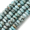 Natural Larimar Beads Strands G-H004-A01-01-1