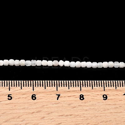 Natural Rainbow Moonstone Beads Strands G-G140-C01-02-1