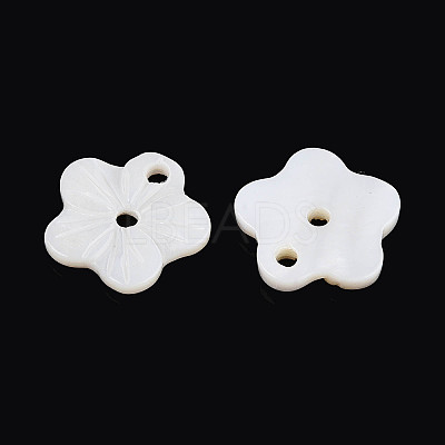 Natural Freshwater Shell Buttons SHEL-N038-11-1