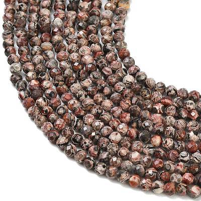 Natural Leopard Skin Jasper Beads Strands GG-CBA3921-A02-3mm-1