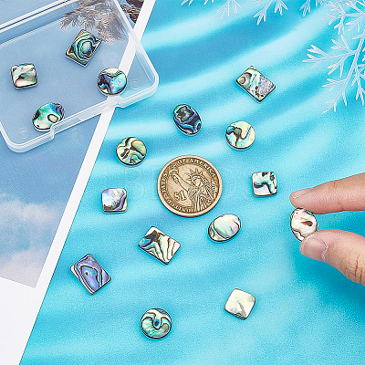 16Pcs 4 Style Natural Shell Cabochons SSHEL-BC0001-23-1