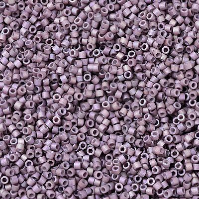 MIYUKI Delica Beads SEED-MY11-DB1064-1