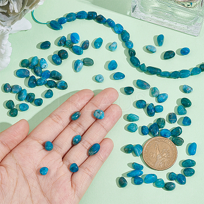 2 Strands Natural Apatite Beads Strands G-NB0004-27-1