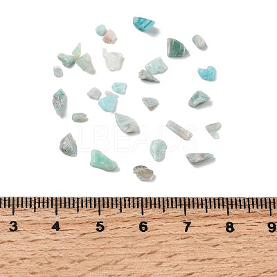 Natural Amazonite Chip Beads X-G-O103-08-1
