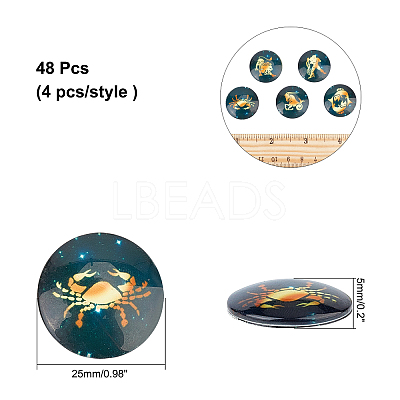 48pcs 12 Style Glass Cabochons GLAA-AR0001-11-1