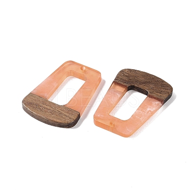Resin & Wood Pendants WOOD-F015-11B-1