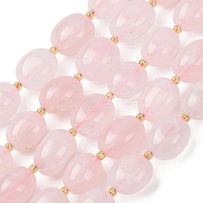 Natural Prehnite Beads Strands G-G453-D16-01-1