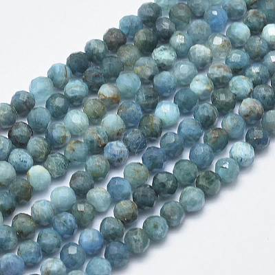 Natural Apatite Beads Strands G-F547-37-5mm-1